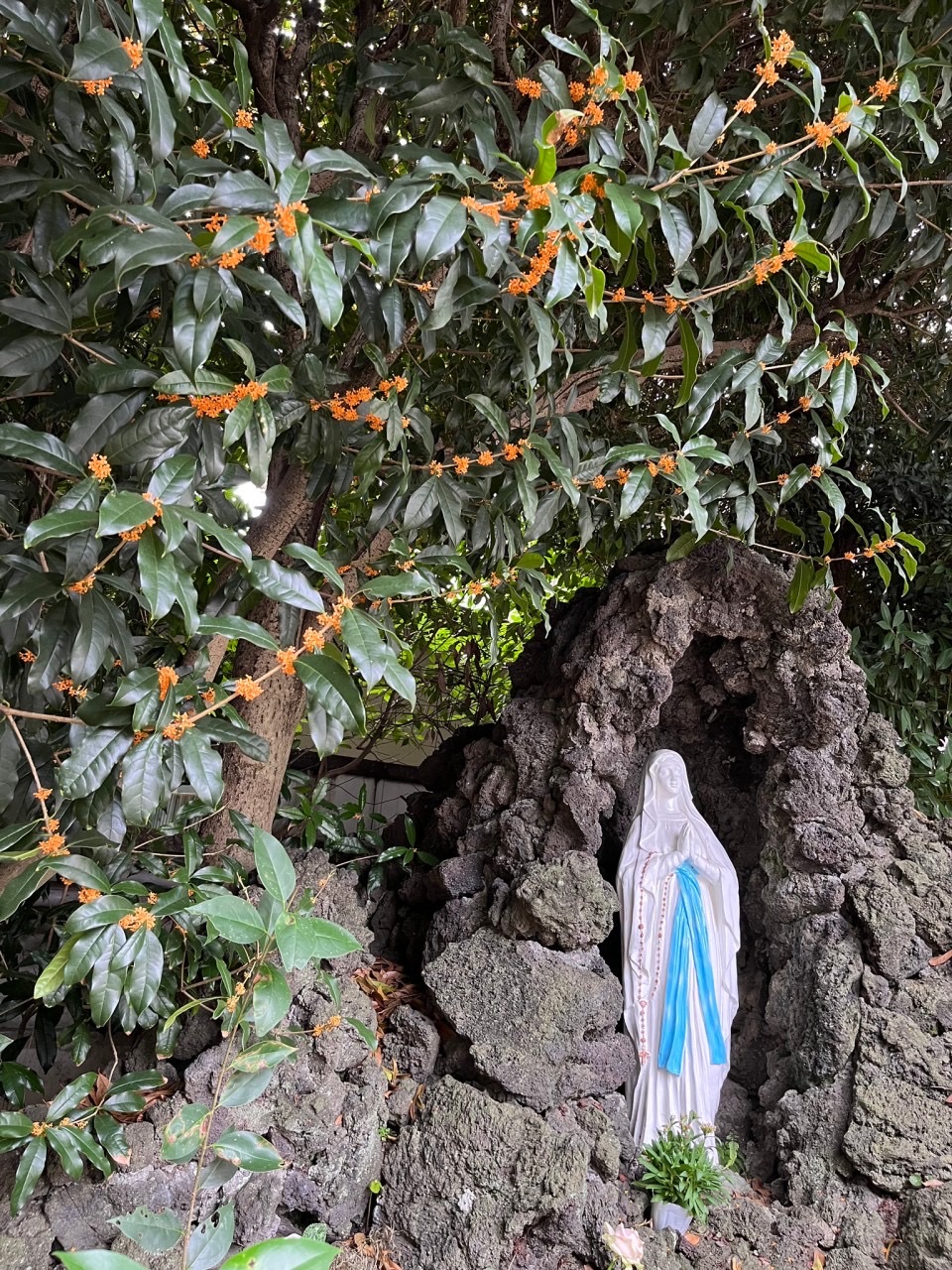 庭のルルドの聖母像