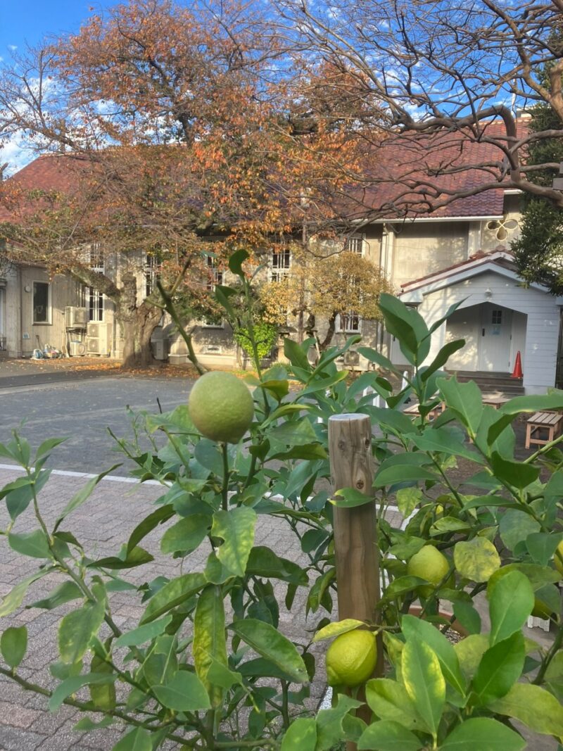 秋から冬へ